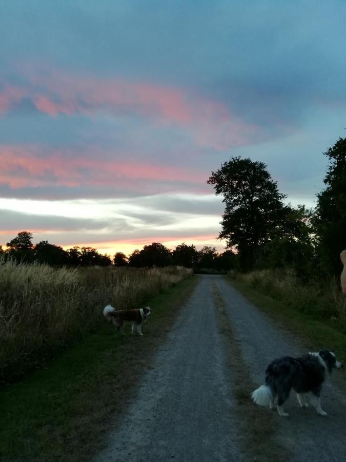 Chez Pastuso Bed & Breakfast Brigueil-le-Chantre Luaran gambar